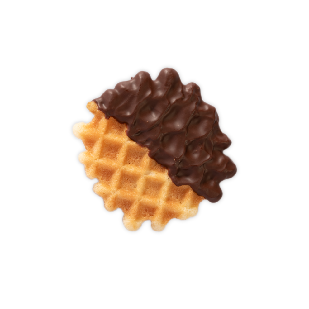 IMG 0004