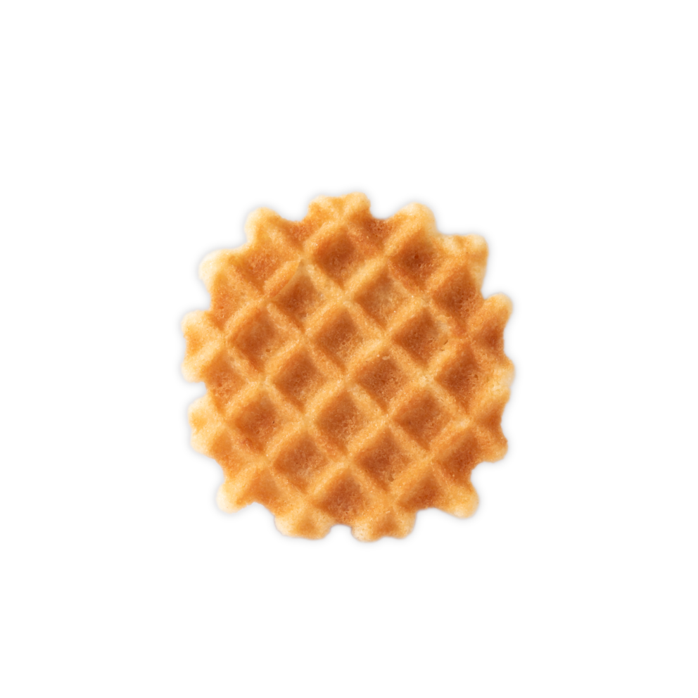 IMG 0006